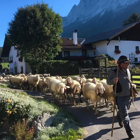La Bosch, 7-persoons Luxe Eigen Woning Met Privétuin Chalet *
