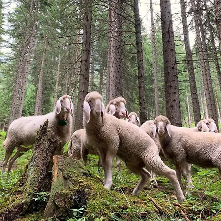 La Bosch, 7-persoons Luxe Eigen Woning Met Privetuin ايروالد