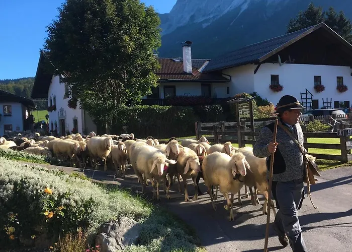 La Bosch, 7-persoons Luxe Eigen Woning Met Privetuin Chalé *