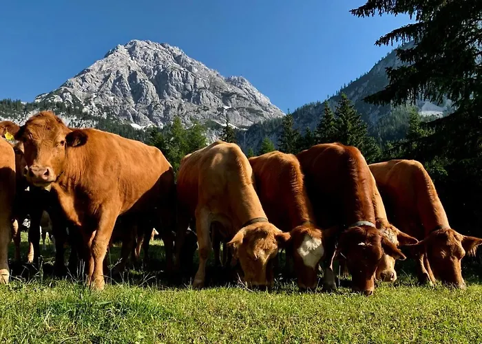 La Bosch, 7-persoons Luxe Eigen Woning Met Privetuin 木屋 *