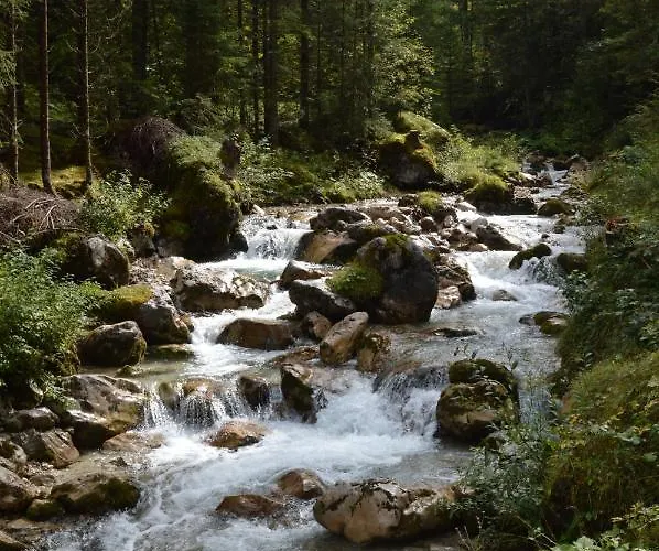 La Bosch, 7-persoons Luxe Eigen Woning Met Privetuin