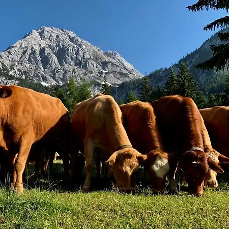 La Bosch, 7-persoons Luxe Eigen Woning Met Privétuin Chalet *