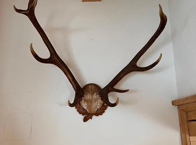 La Bosch, 7-persoons Luxe Eigen Woning Met Privétuin *